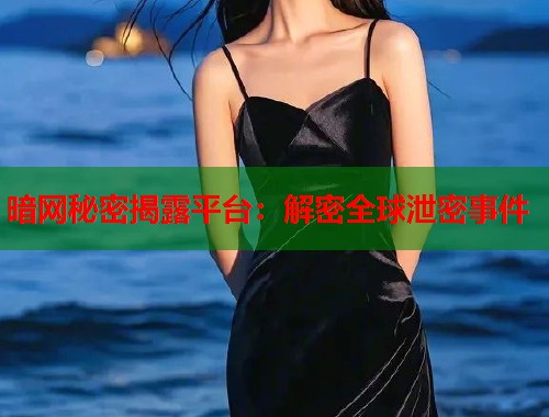 暗网秘密揭露平台:解密全球泄密事件 暗网秘密揭露平台:解密全球泄密事件