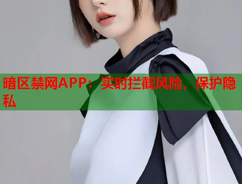暗区禁网APP:实时拦截风险,保护隐私 暗区禁网APP:实时拦截风险,保护隐私