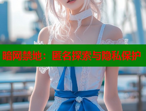 暗网禁地:匿名探索与隐私保护 暗网禁地:匿名探索与隐私保护