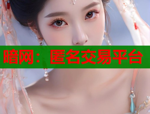暗网:匿名交易平台 暗网:匿名交易平台