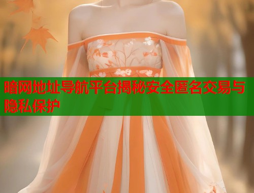 暗网地址导航平台揭秘安全匿名交易与隐私保护 暗网地址导航平台揭秘安全匿名交易与隐私保护