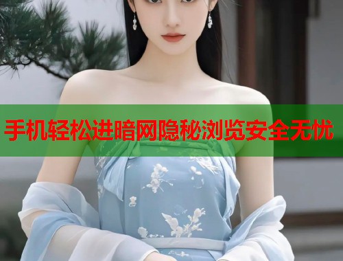 手机轻松进暗网隐秘浏览安全无忧 手机轻松进暗网隐秘浏览安全无忧