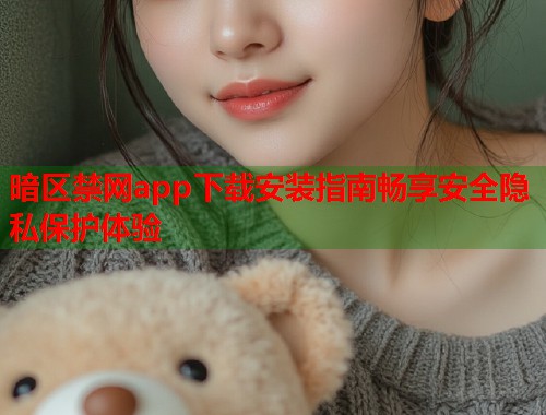暗区禁网app下载安装指南畅享安全隐私保护体验 暗区禁网app下载安装指南畅享安全隐私保护体验