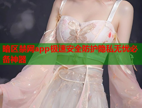 暗区禁网app极速安全防护隐私无忧必备神器 暗区禁网app极速安全防护隐私无忧必备神器