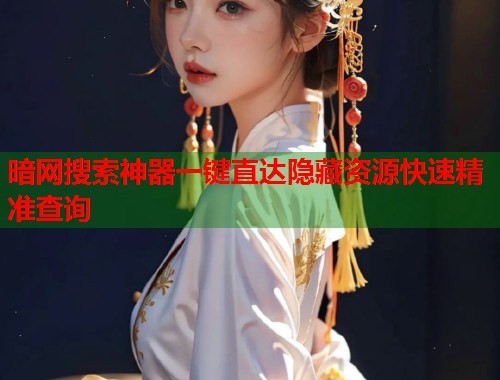 暗网搜索神器一键直达隐藏资源快速精准查询 暗网搜索神器一键直达隐藏资源快速精准查询