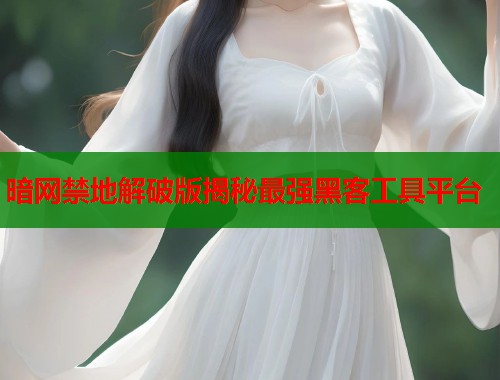 暗网禁地解破版揭秘最强黑客工具平台 暗网禁地解破版揭秘最强黑客工具平台