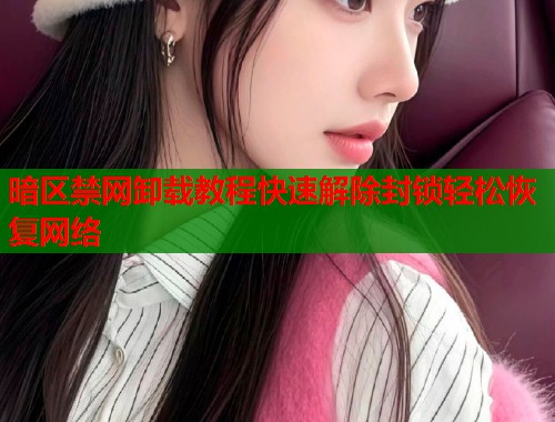 暗区禁网卸载教程快速解除封锁轻松恢复网络 暗区禁网卸载教程快速解除封锁轻松恢复网络