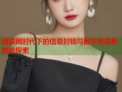 暗禁网时代下的信息封锁与数字自由新挑战探索 暗禁网时代下的信息封锁与数字自由新挑战探索