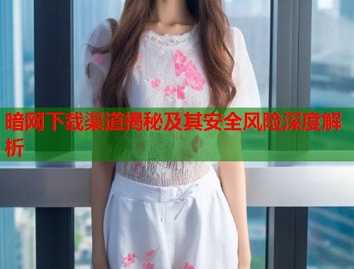 暗网下载渠道揭秘及其安全风险深度解析 暗网下载渠道揭秘及其安全风险深度解析