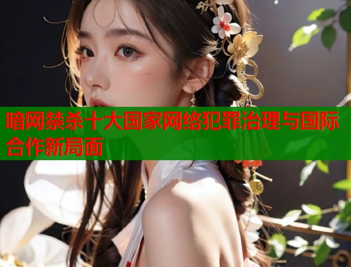 暗网禁杀十大国家网络犯罪治理与国际合作新局面 暗网禁杀十大国家网络犯罪治理与国际合作新局面