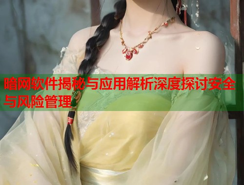 暗网软件揭秘与应用解析深度探讨安全与风险管理 暗网软件揭秘与应用解析深度探讨安全与风险管理