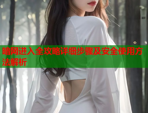 暗网进入全攻略详细步骤及安全使用方法解析 暗网进入全攻略详细步骤及安全使用方法解析