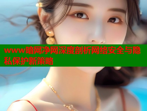 www暗网净网深度剖析网络安全与隐私保护新策略