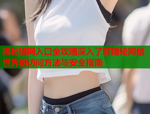 揭秘暗网入口全攻略深入了解隐秘网络世界的访问方法与安全指南