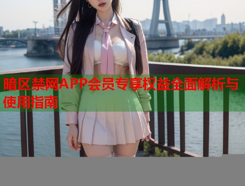 暗区禁网APP会员专享权益全面解析与使用指南
