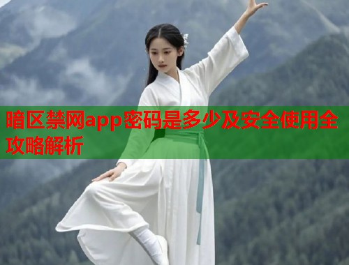 暗区禁网app密码是多少及安全使用全攻略解析