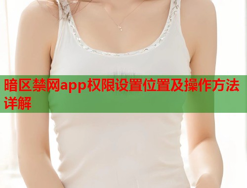 暗区禁网app权限设置位置及操作方法详解