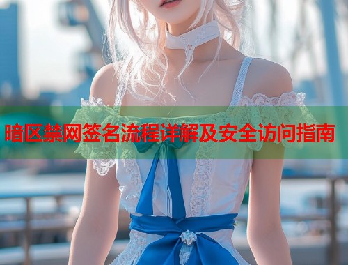 暗区禁网签名流程详解及安全访问指南