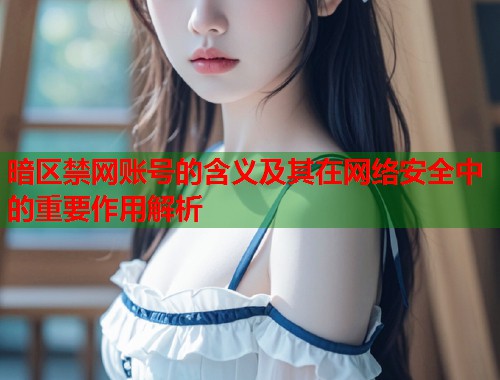 暗区禁网账号的含义及其在网络安全中的重要作用解析
