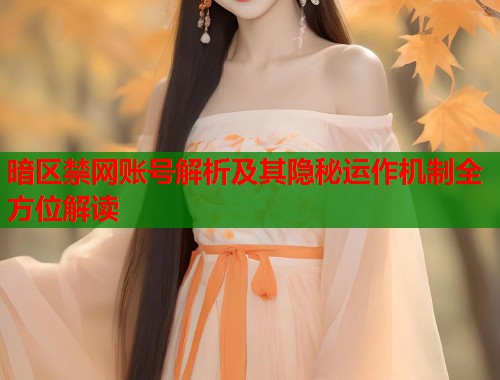 暗区禁网账号解析及其隐秘运作机制全方位解读
