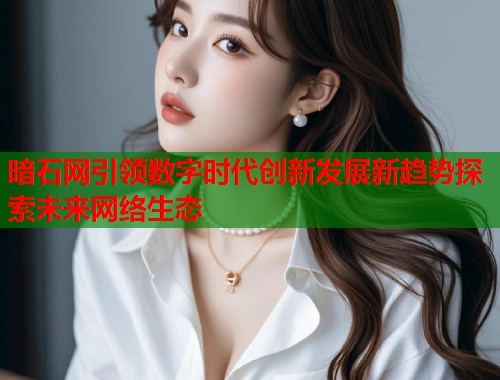 暗石网引领数字时代创新发展新趋势探索未来网络生态