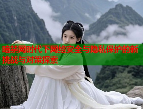 暗禁网时代下网络安全与隐私保护的新挑战与对策探索