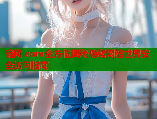 暗网.com全方位揭秘隐秘网络世界安全访问指南