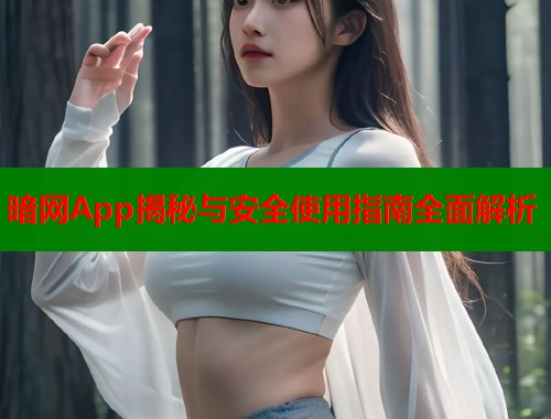 暗网App揭秘与安全使用指南全面解析
