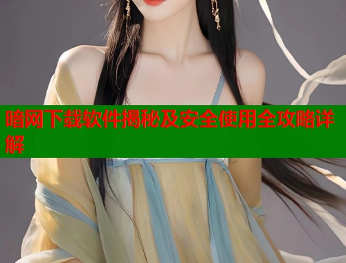 暗网下载软件揭秘及安全使用全攻略详解