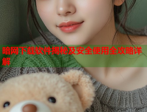 暗网下载软件揭秘及安全使用全攻略详解