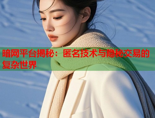 暗网平台揭秘：匿名技术与隐秘交易的复杂世界