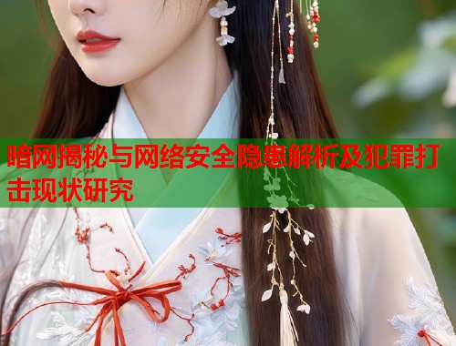暗网揭秘与网络安全隐患解析及犯罪打击现状研究