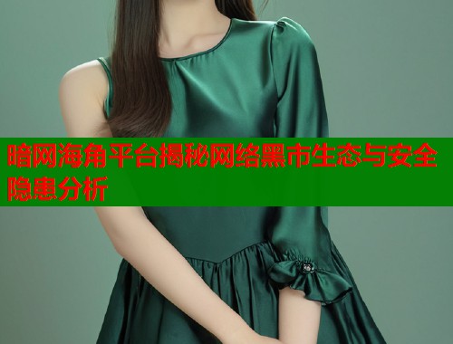 暗网海角平台揭秘网络黑市生态与安全隐患分析