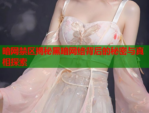 暗网禁区揭秘黑暗网络背后的秘密与真相探索