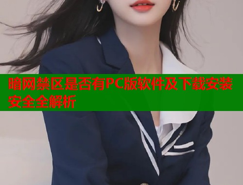 暗网禁区是否有PC版软件及下载安装安全全解析