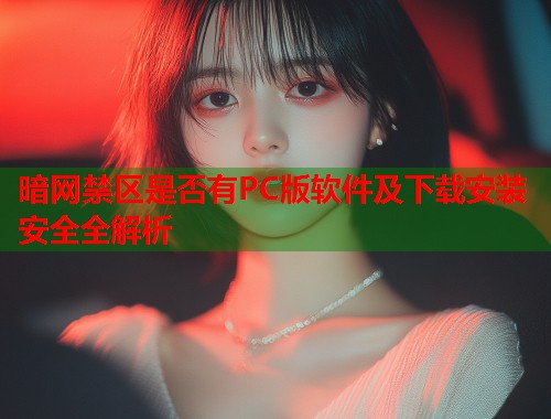 暗网禁区是否有PC版软件及下载安装安全全解析