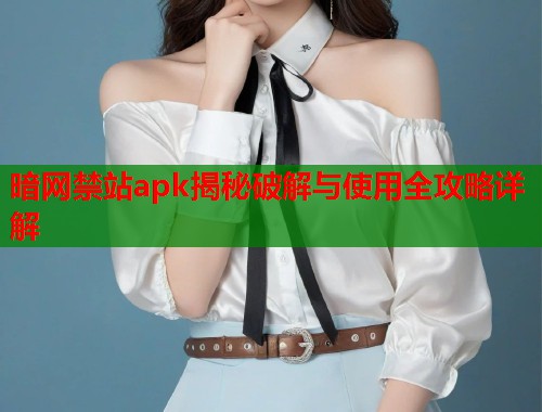 暗网禁站apk揭秘破解与使用全攻略详解