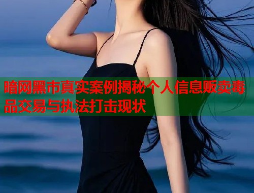 暗网黑市真实案例揭秘个人信息贩卖毒品交易与执法打击现状