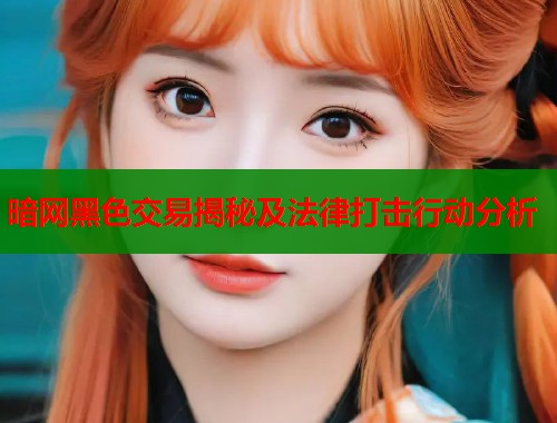 暗网黑色交易揭秘及法律打击行动分析