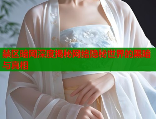 禁区暗网深度揭秘网络隐秘世界的黑暗与真相