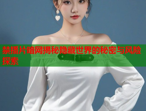 禁播片暗网揭秘隐藏世界的秘密与风险探索