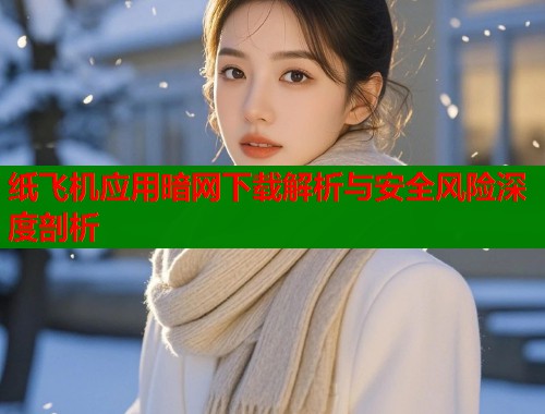 纸飞机应用暗网下载解析与安全风险深度剖析